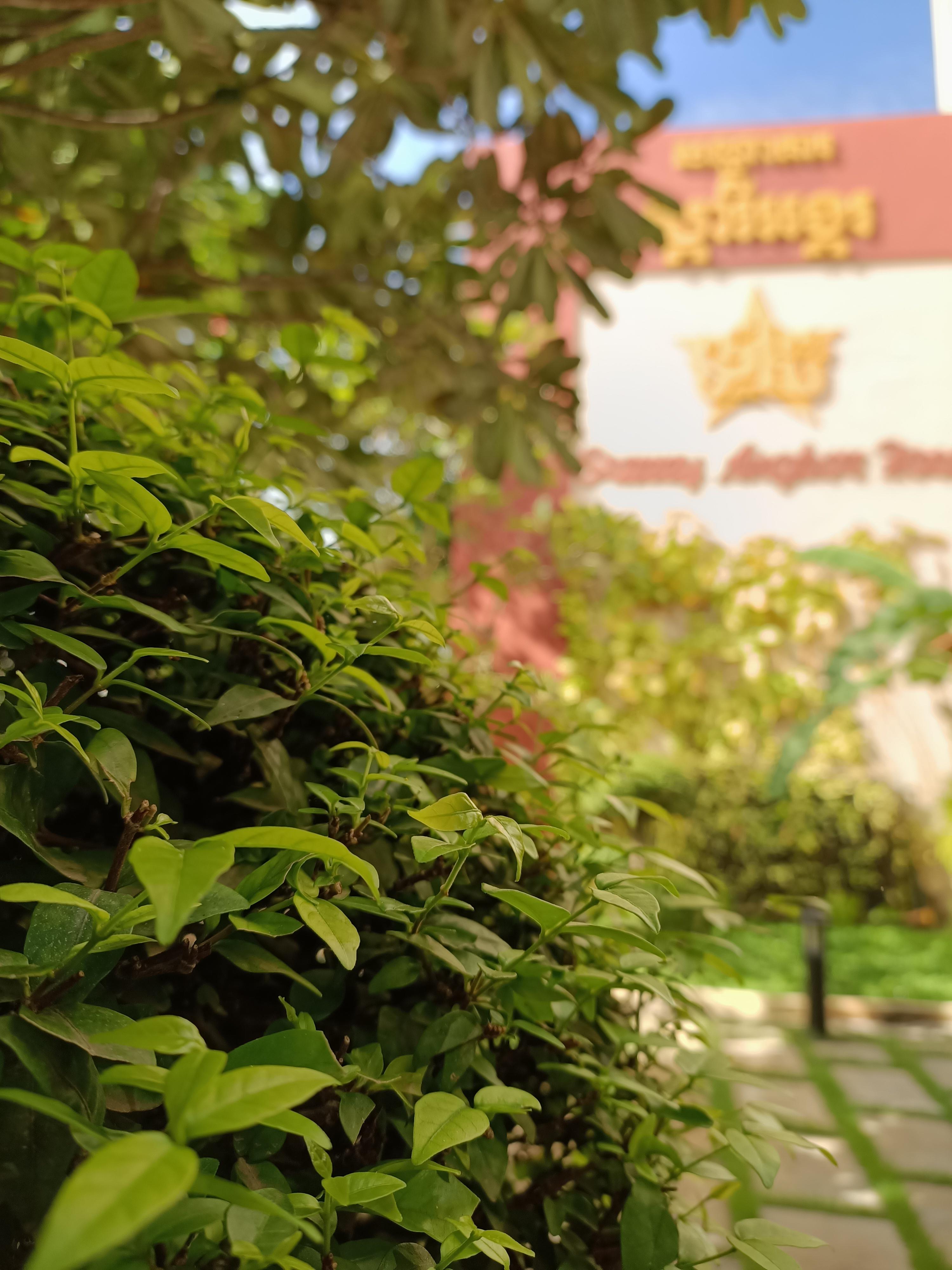 Starry Angkor Hotel Siem Reap Ngoại thất bức ảnh