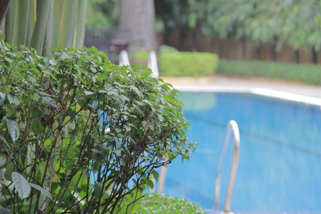 Starry Angkor Hotel Siem Reap Ngoại thất bức ảnh